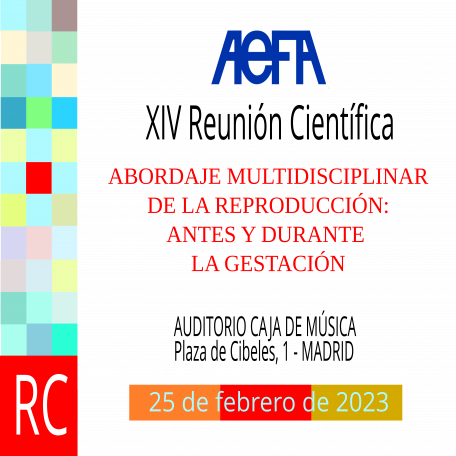 logo-tienda-rc-aefa-2023-v1